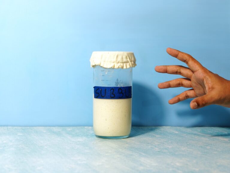 It’s 2026 & You should make a Sourdough Starter!